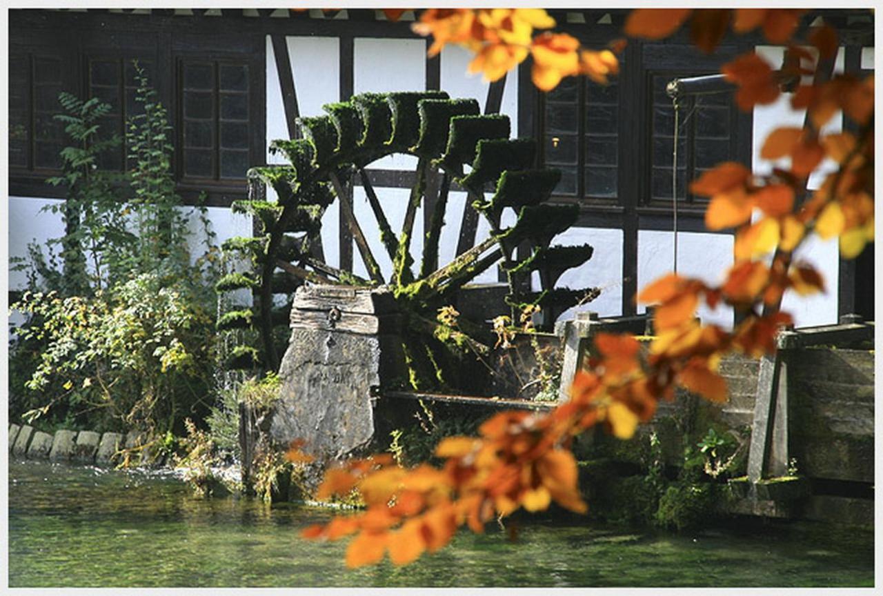 Hotel-Restaurant Ochsen Blaubeuren Bagian luar foto